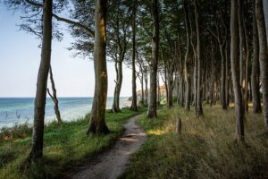 Leben auf Rügen – Das kann Ihnen die Insel bieten